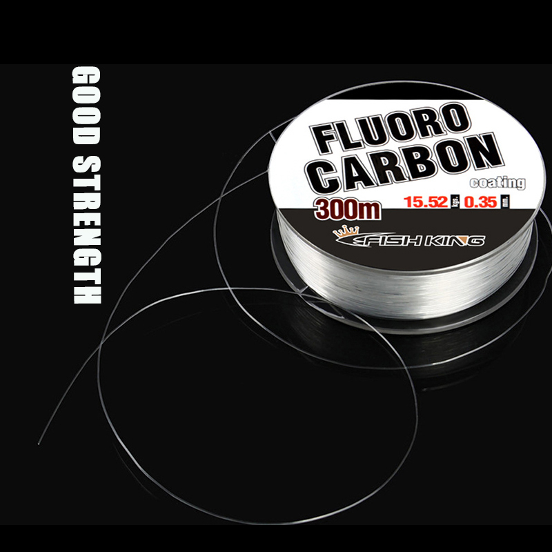 0.3/0.35/0.4/0.45/0.5mm Fluoro - Monofilament Line 리뷰 및 가격