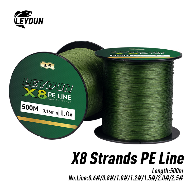 LEYDUN 500m Micro New Fishing  - Copolymer Line 리뷰 및 가격