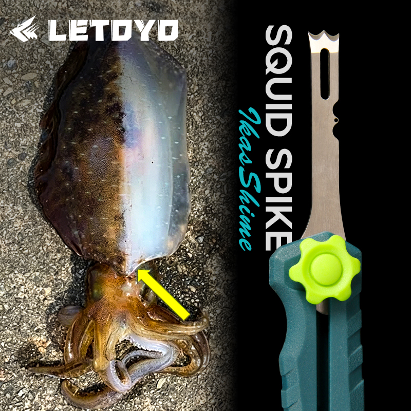Squid Knife Stainless Steel Li - Freshwater Line 리뷰 및 가격