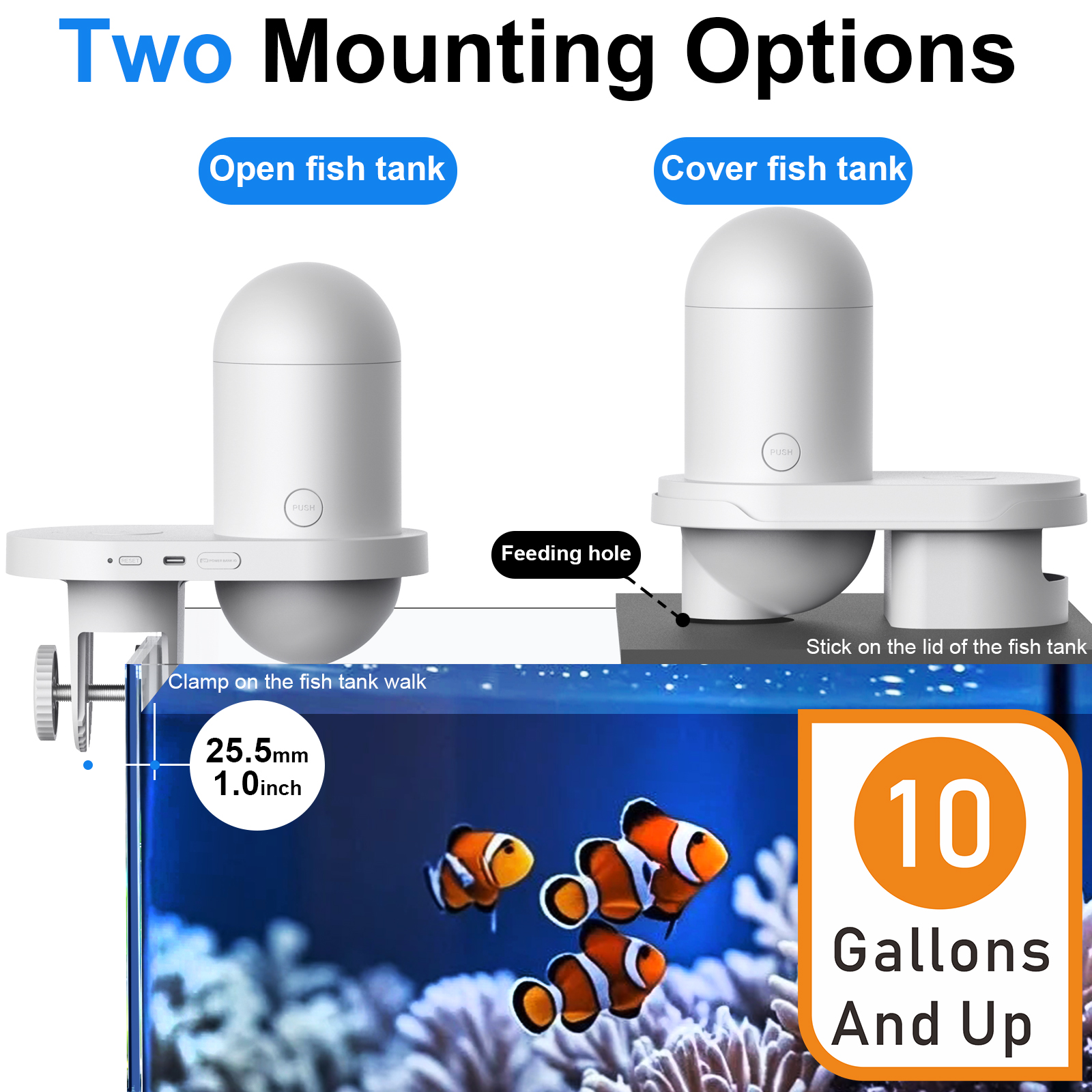Automatic Fish Feeder With Cam - Fishing Line Dispenser 리뷰 및 가격