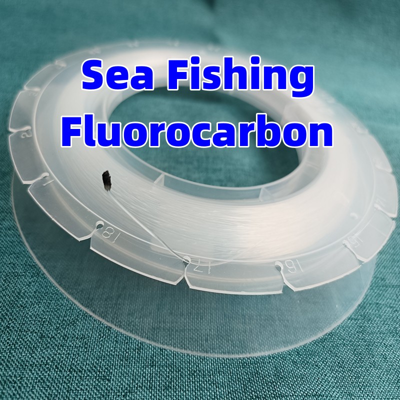 100M Fishing Fluorocarbon Big  - Copolymer Line 리뷰 및 가격